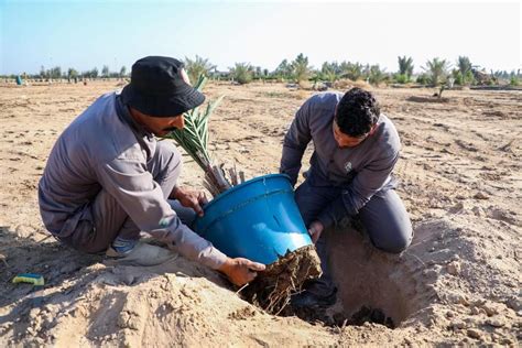 مشاريع العراق Iraq Projects On Twitter قطاع الزراعة 🇮🇶 بمساحة