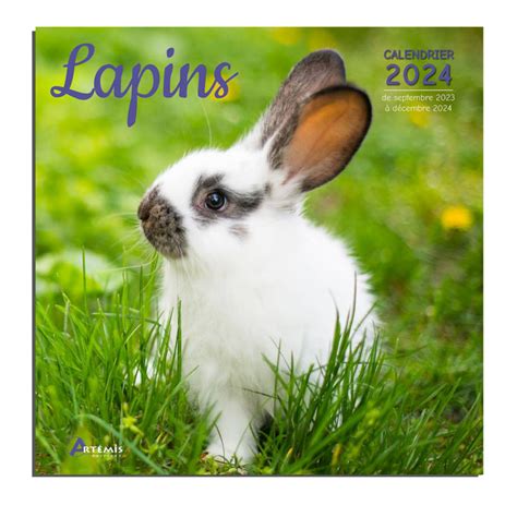 Calendrier Lapins