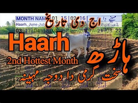 Haarh Aaj Ki Tareekh Jantri Today Date Daisi Month Chait Punjabi