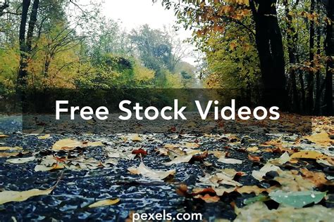 3,000+ Best Rain Sound Videos · 100% Free Download · Pexels Stock Videos