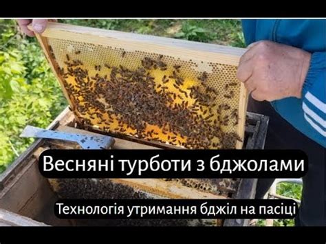 Технологія утримання бджіл або весняні роботи на пасіці - YouTube