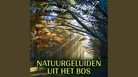 Natuurgeluiden Uit Het Bos YouTube Music