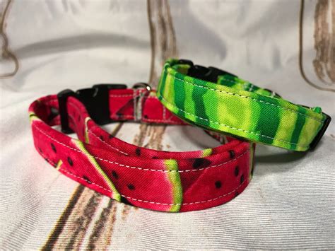 Watermelon Dog Collar Watermelon Rind Watermelon Fruit Dog Collar