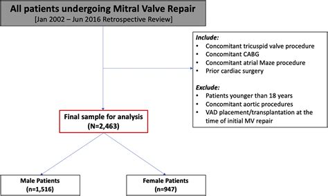 Sex Based Differences In Mitral Valve Re Operation After Mitral Valve