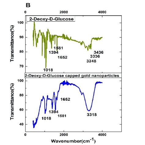 UV-visible absorption spectrum of AuNPs. A UV-visible absorption ...