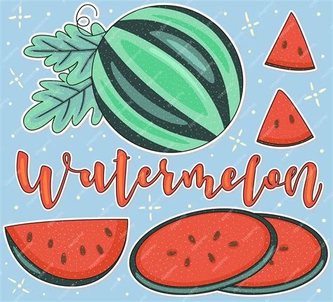 Premium Vector | Watermelon Whole and pieces Vector stock illustration ...