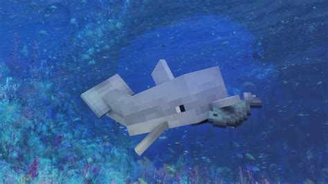 Minecraft Dolphin by Flowerscow on DeviantArt