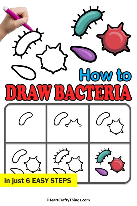 Bacteria Drawing How To Draw Bacteria Step By Step