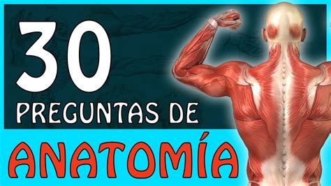 Cuanto sabes de ANATOMÍA HUMANA 30 Preguntas Preguntas