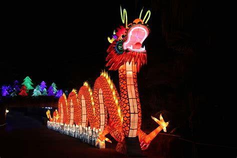 The Giant Lanterns of China highlight the bond between two cultures