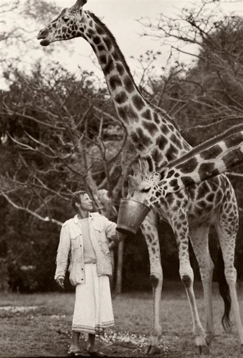 El Universo De Peter Beard De La Excéntrica Nueva York Al África Salvaje