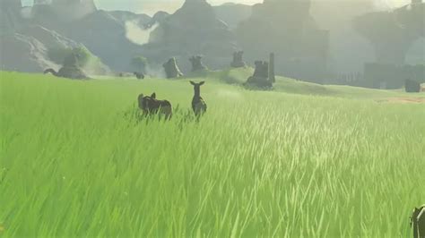 Image Result For Zelda Botw Grass Legend Of Zelda Image Grass