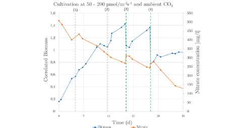 Cultivation With Nitrate Charge And And Harvest Intervals In L