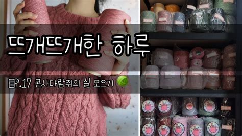 뜨개뜨개한 하루 Ep17 콘사다람쥐의 실 모으기🧶봄날의 앤 스웨터 뜨개팟캐스트뜨개수다 Youtube