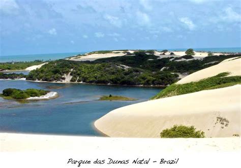 Natal Dunes State Park - Alchetron, The Free Social Encyclopedia