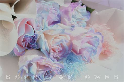 Rose Canberra Rose Delivery Canberra