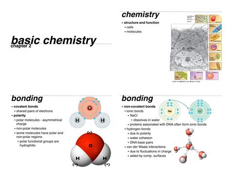 Pdf Basic Chemistrynatureboy Bio Chapter Summer Pdf