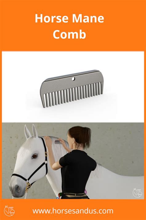 Horse braiding Tools - pulling comb | Horse braiding, Horse mane, Horses