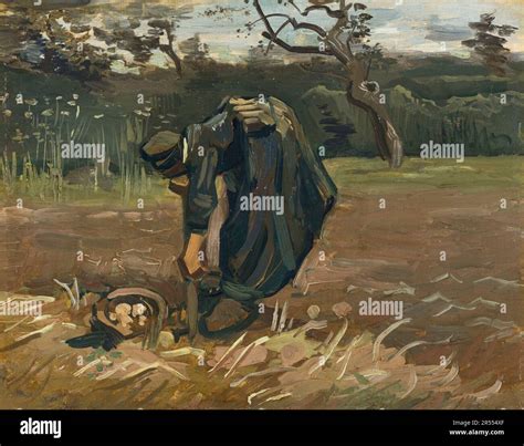 Vincent Van Gogh Peasant Woman Digging Up Potatoes Painting