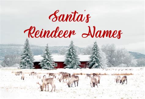 Santas Reindeer Names And Everything Else You Need To Know