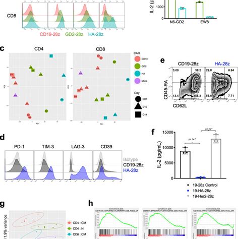 Gd Z Car T Cells Display An Exhaustion Signature At The Single