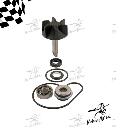 Kit Revisione Pompa Acqua Suzuki Burgman 125 250 400cc Meloni Motori