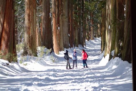 Nagano Winter Special Tour "Snow Monkey And Snowshoe Hiking"!!