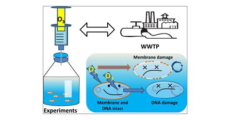 Inactivation Of Antibiotic Resistant Bacteria And Resistance Genes By