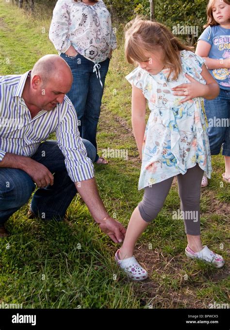 A Father Rubbing A Dock Leaf On His Daughters Nettle Sting Stock Photo