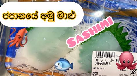 ජපානයේ අමු මාළු ( sashimi)🍣 - YouTube