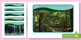 Australian Tropical Rainforest Habitat Word Mat Twinkl