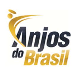 Anjos Do Brasil Crunchbase Company Profile Funding