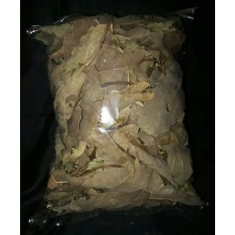 Jual Daun Alpukat Kering 100 Gram Shopee Indonesia