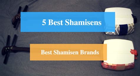 5 Best Shamisen Reviews 2022- Best Shamisen Brands - CMUSE