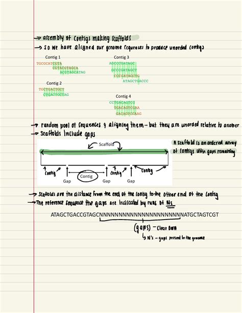 Week 2 Scaffolds Genetics Week 2 Lecture Notes Assembly Of