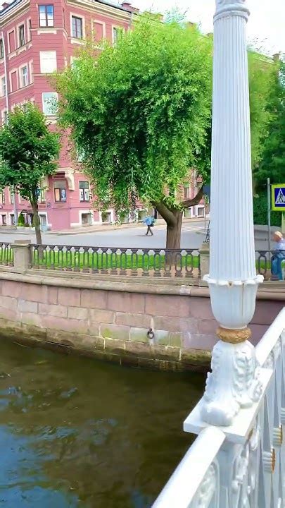 Санкт-Петербург ️Львиный мост ️ #music #song #singer #travel #chopin # ...