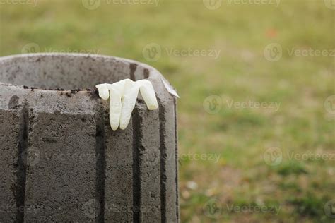 Used disposable glove on a garbage container close up. Disposal of ...