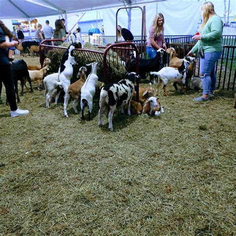 dunbar pa          tripadvisor