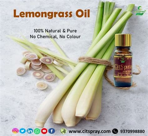 Natural Lemongrass Oil For Fragrance At Rs 1150 Litre In Nagpur Id 22422570848