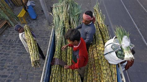 Rise In Frp For Sugarcane To Increase Cost Of Production Icra