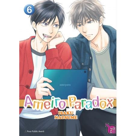 Ameiro Paradox T