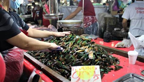 Shellfish Sa Lugar Sa Bansa May Red Tide Bfar Police Files Tonite