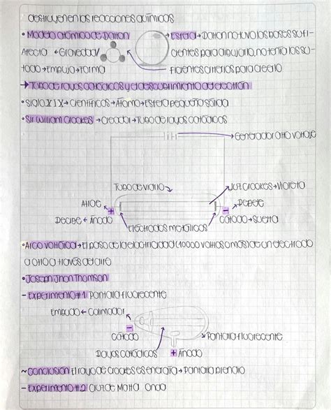 Solution Modelos At Micos Studypool