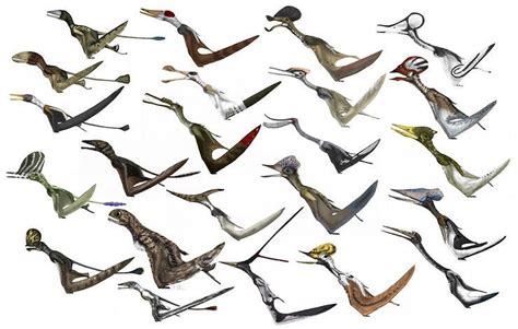 Types Of Flying Dinosaurs Names