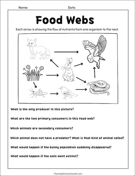 Ferocious Food Chain Worksheets: Free and Easy Print! - The Simple Homeschooler