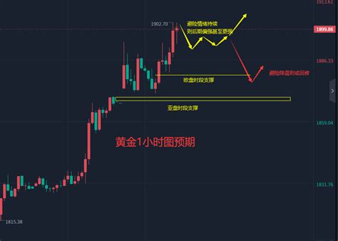 张轩昊：313晚盘外汇、黄金、原油分析策略 知乎