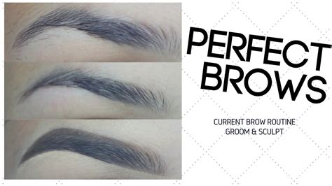 Current Brow Routine How To Groom Scult And Fill Youtube