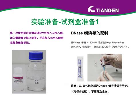 动物组织总 RNA 提取试剂盒操作指南DP431 动物组织 丁香实验