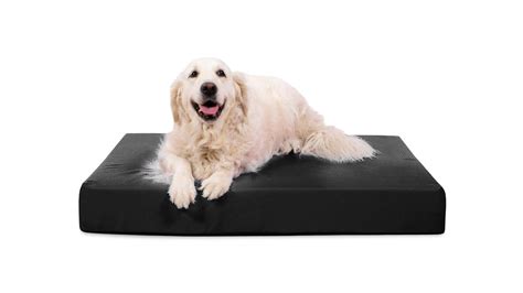 Tough Rip-Stop™ Rectangle Orthopedic Dog Bed | K9 Ballistics