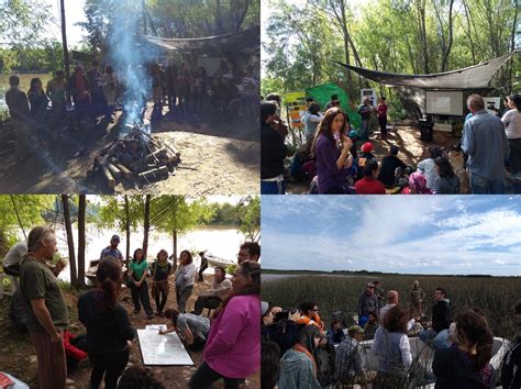 Resistir Con El Humedal Experiencias De Educación Ambiental